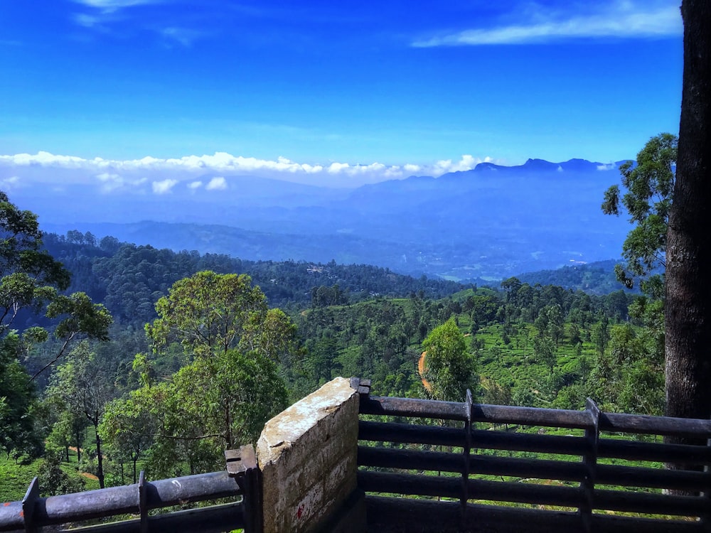 a wooden bench sitting on top of a lush green hillside