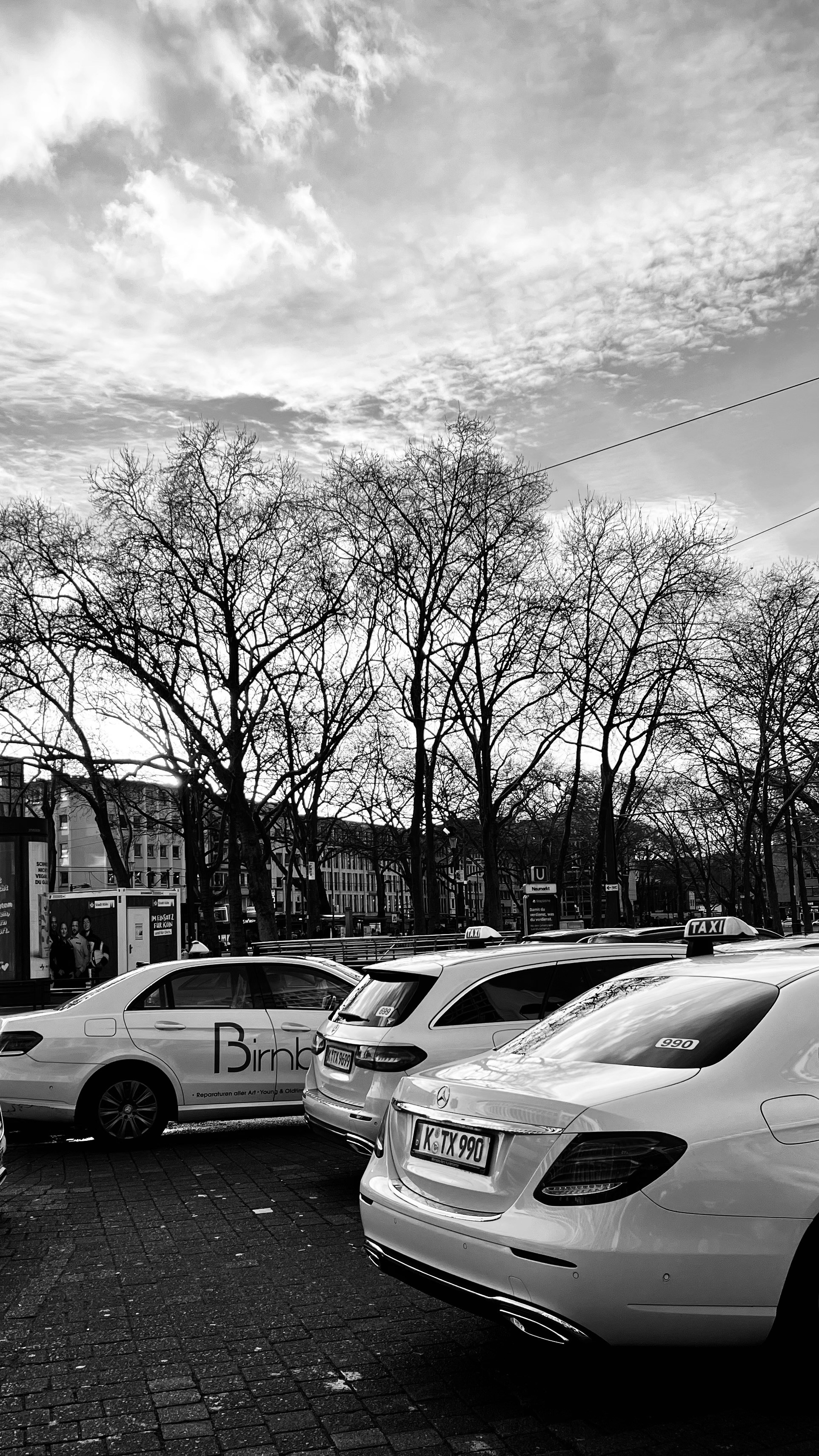 Photo by luis_de_leon