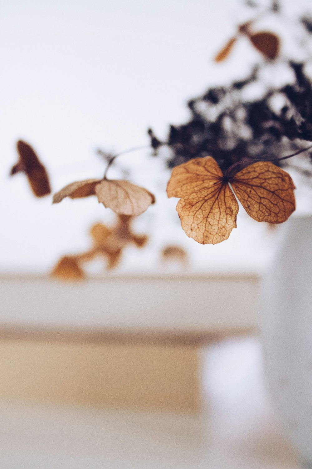 a vase filled with leaves on top of a table