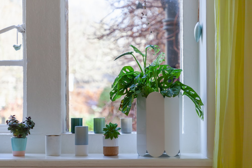 un rebord de fenêtre avec une plante en pot sur le dessus