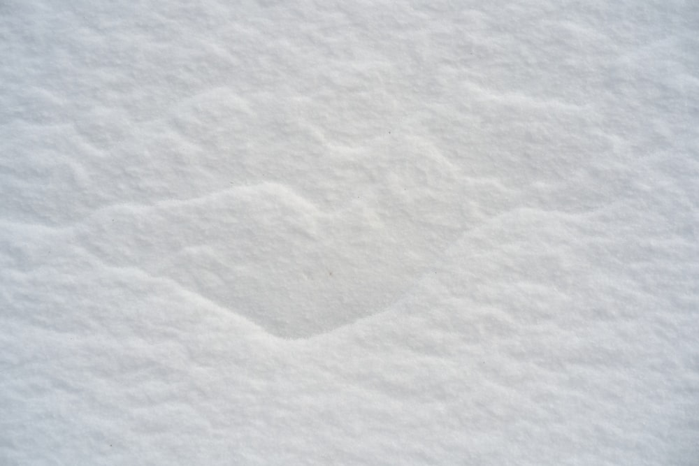 a close up of a snow covered ground