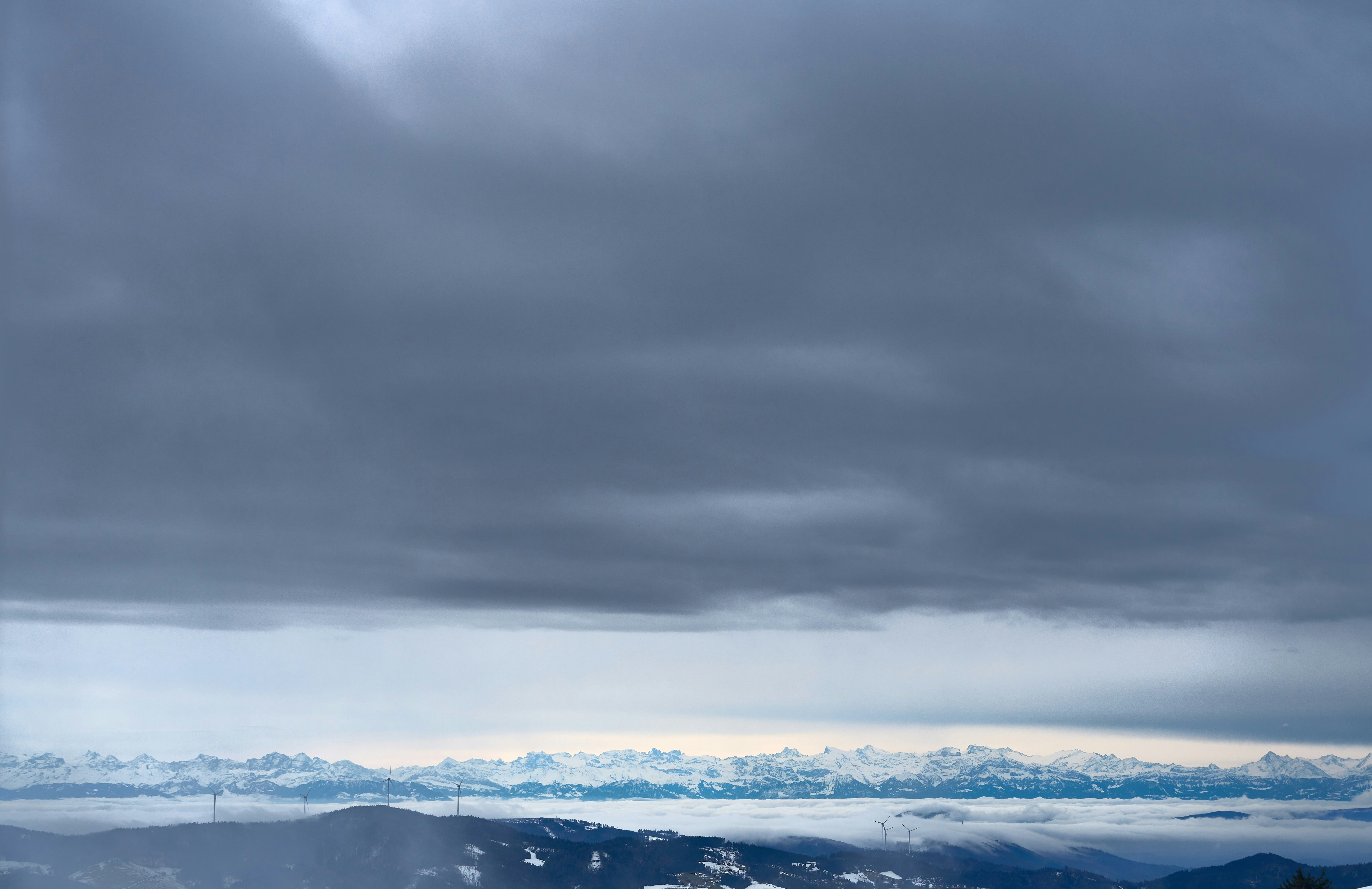 Photo by wolfgang_hasselmann