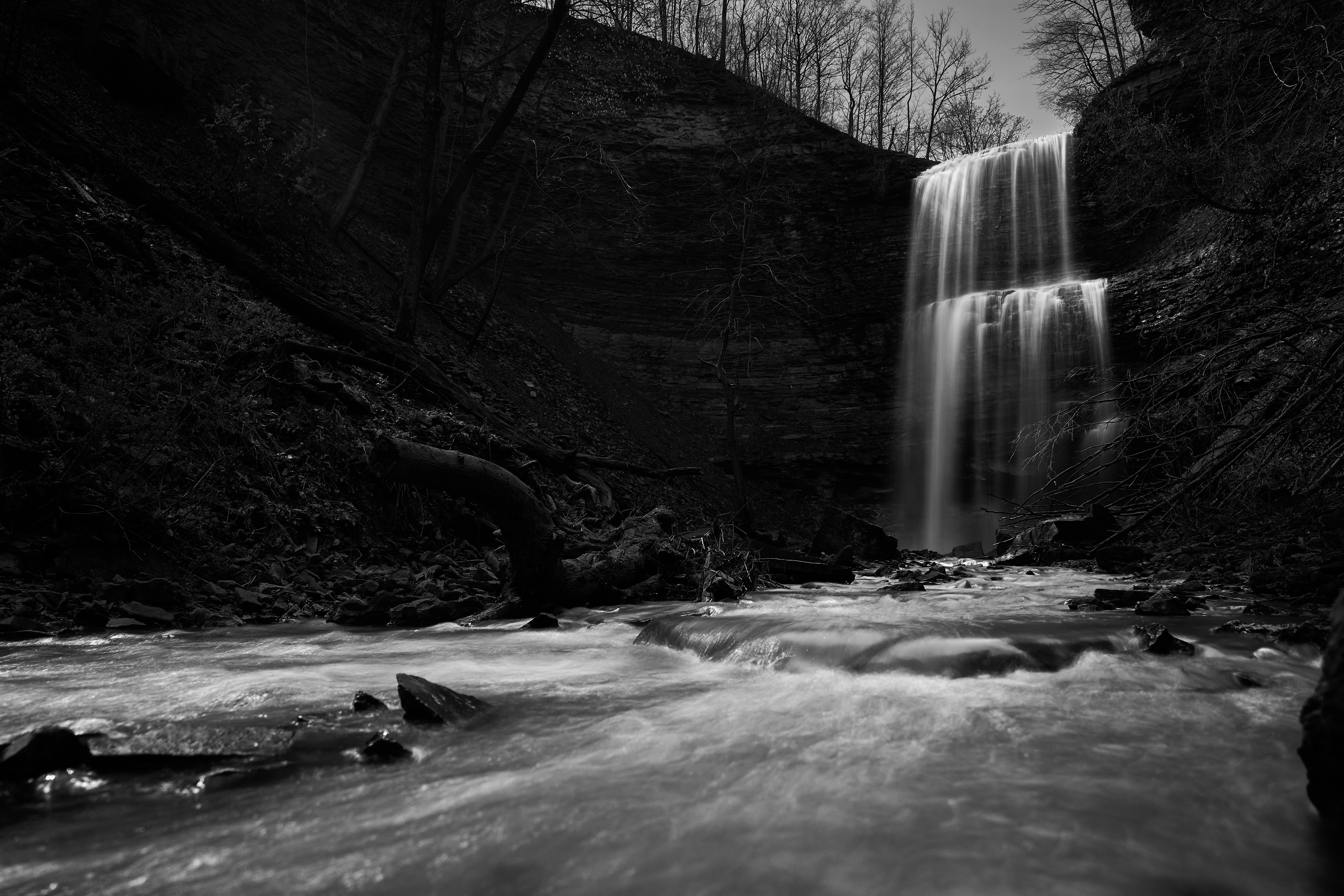 Photo by wolfgang_hasselmann