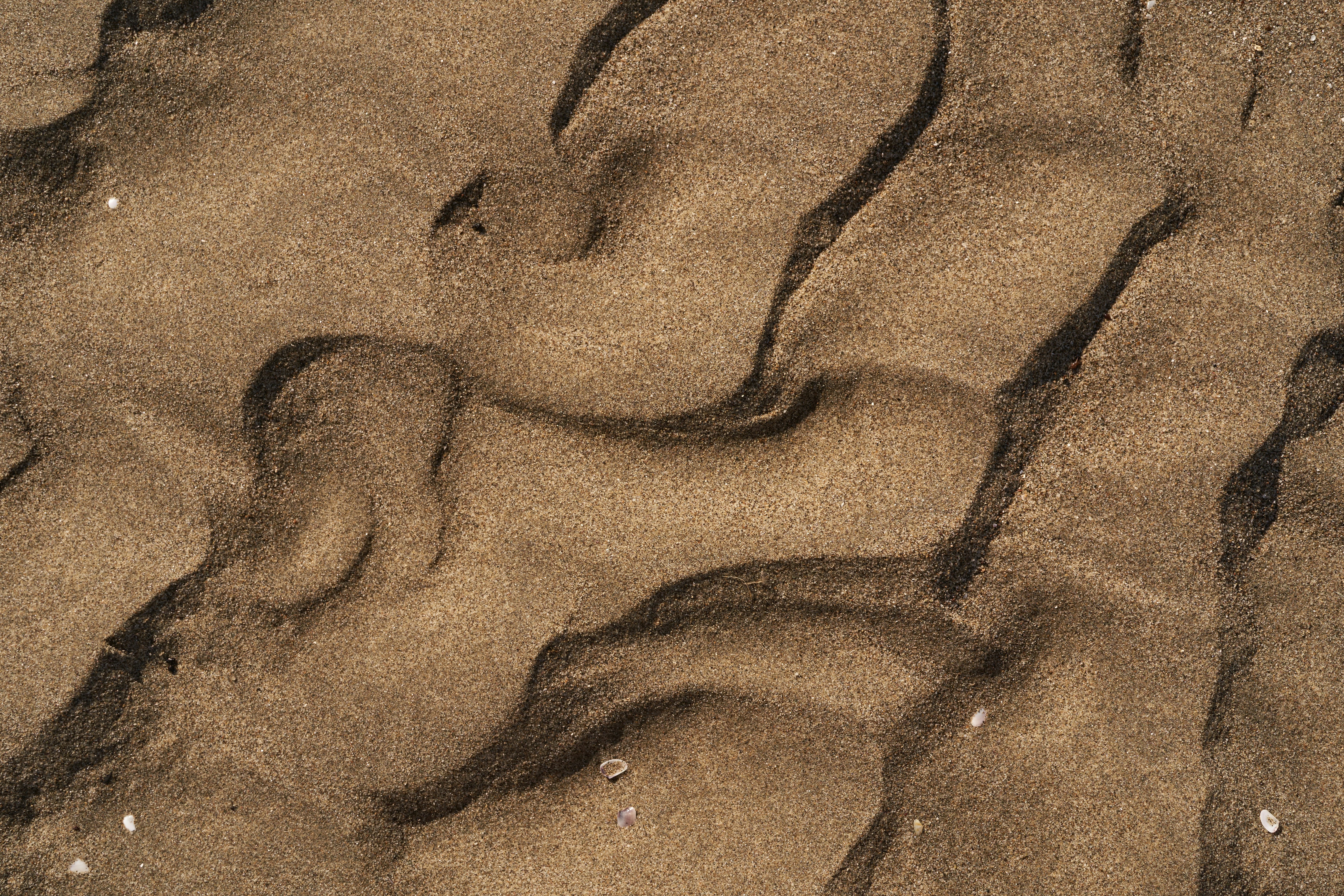 Photo by wolfgang_hasselmann