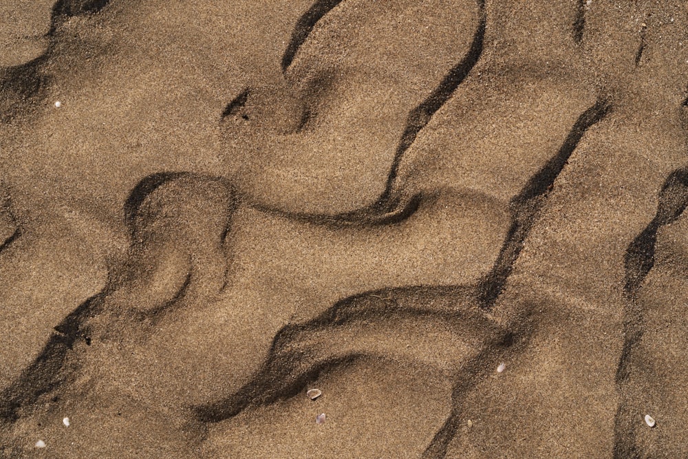 footprints in the sand of a beach