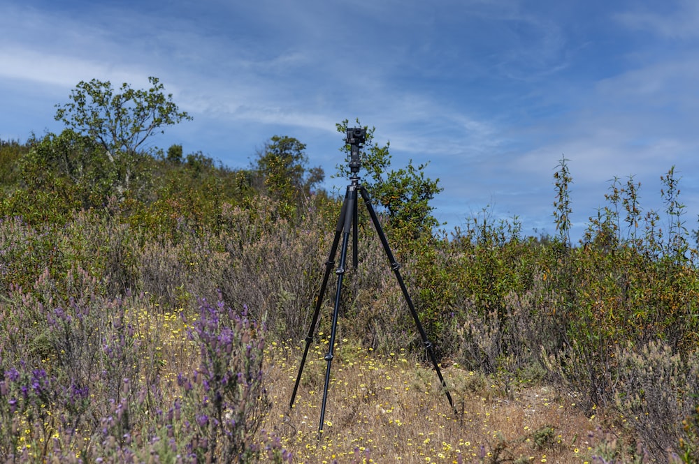 a tripod in the middle of a field