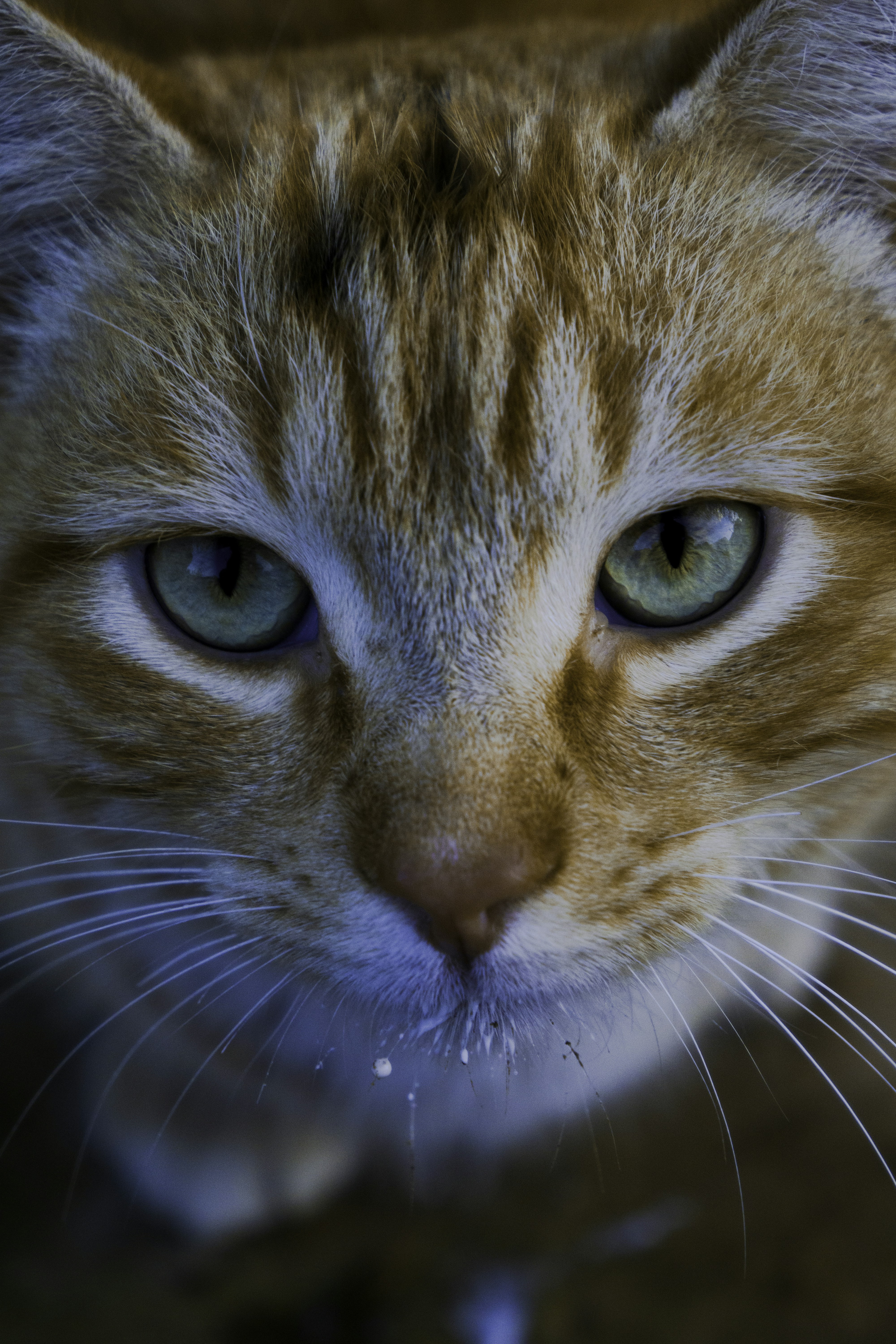 Photo by larzyofficiel1