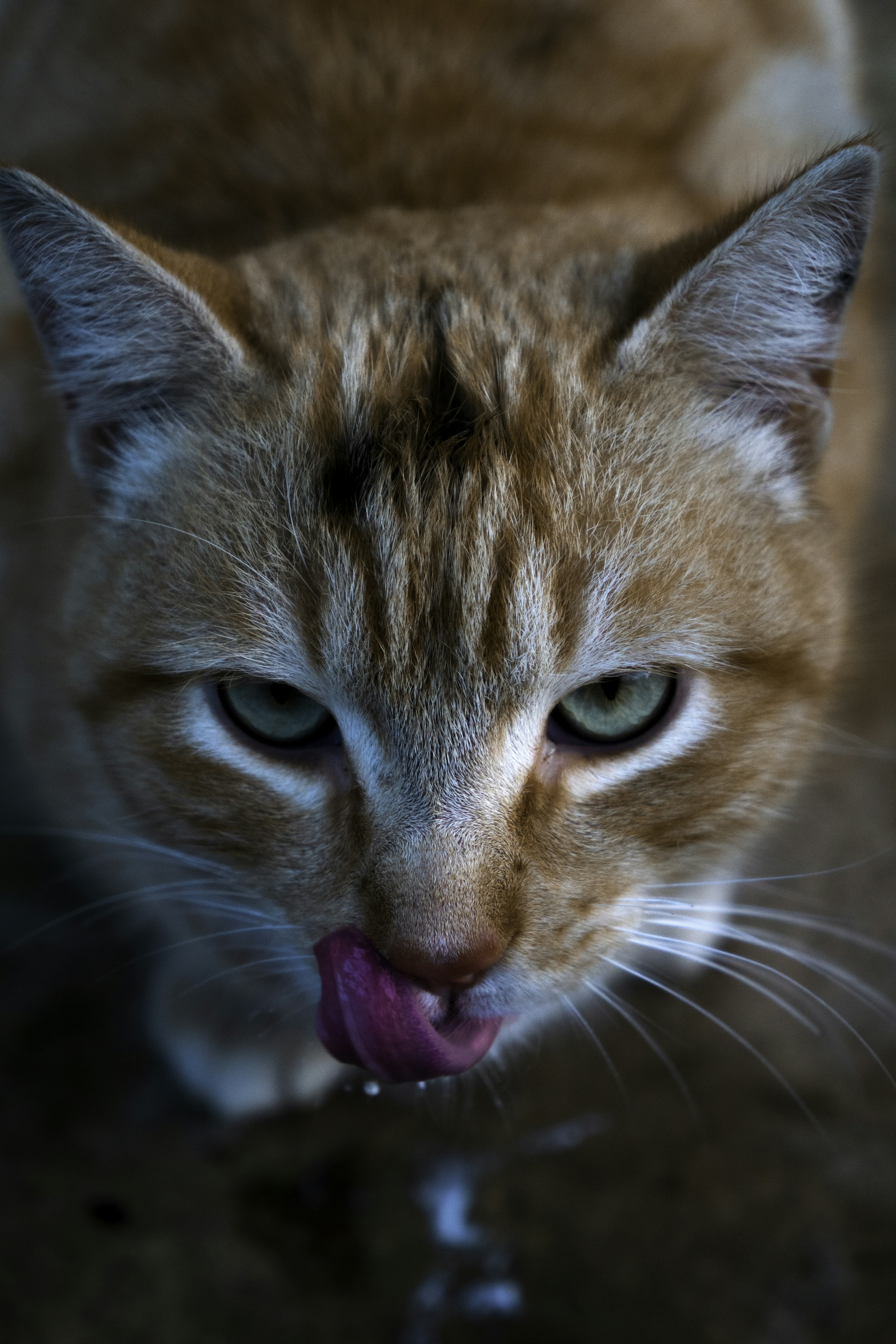 Photo by larzyofficiel1