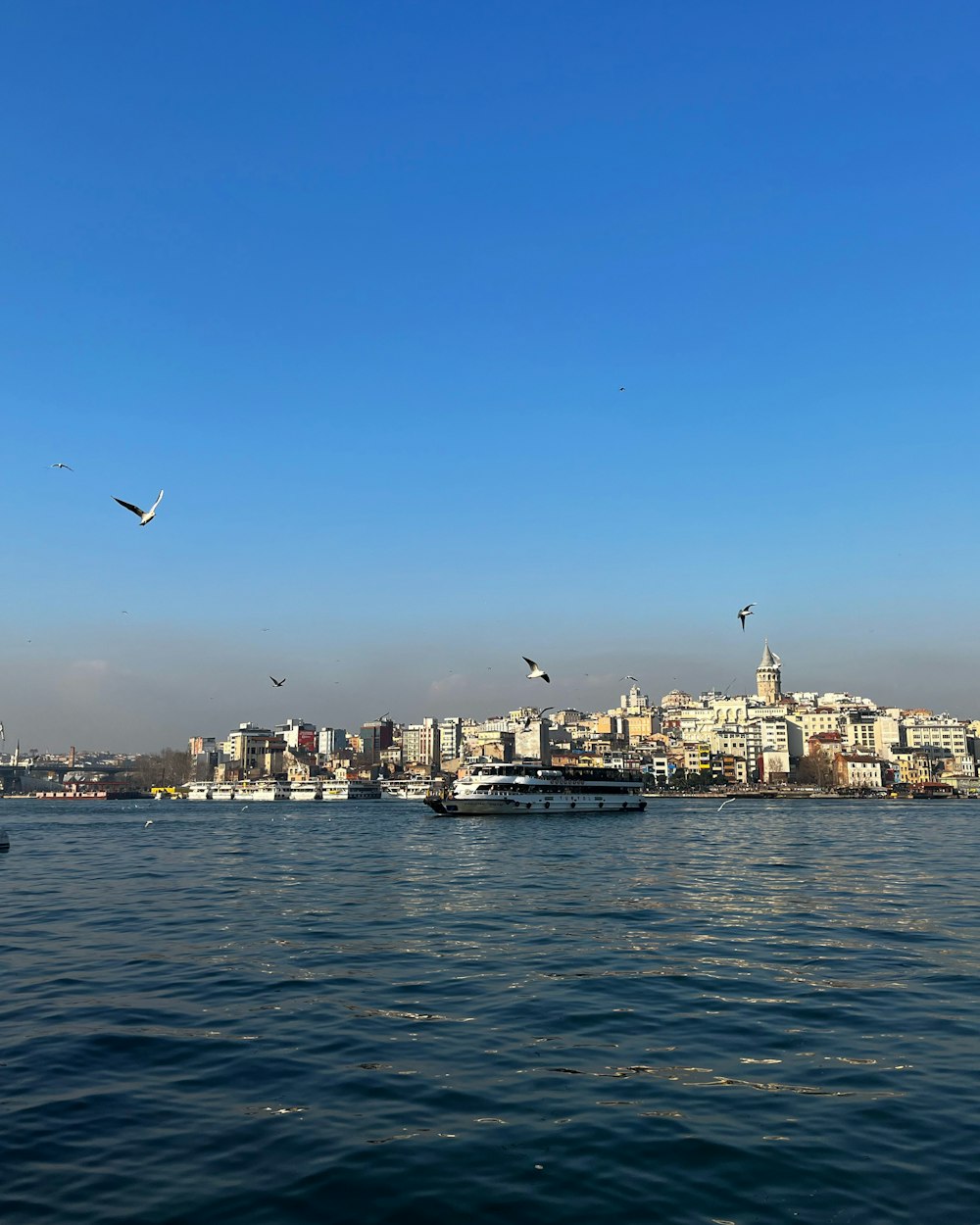 a large body of water with a city in the background