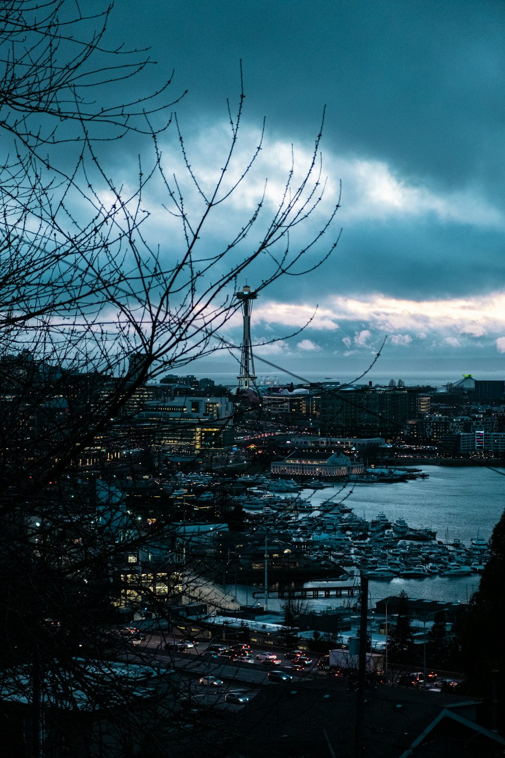 a view of a harbor and a city at night