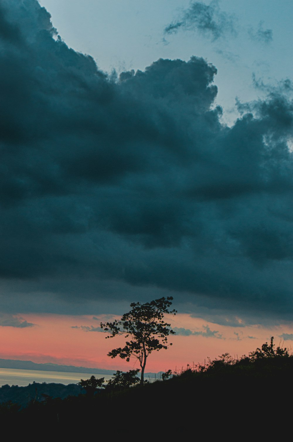 a lone tree on a hill under a cloudy sky