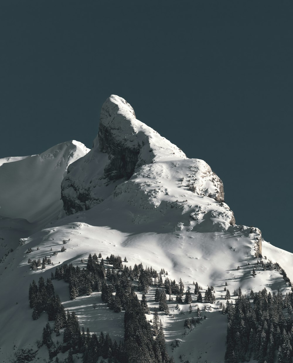 a mountain covered in snow and trees under a blue sky