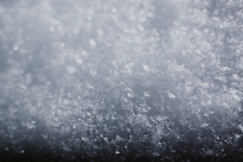 Une photo en noir et blanc de flocons de neige