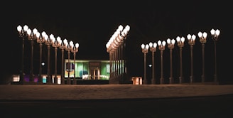 Street lamps installed along a city road showcasing energy-efficient lighting.