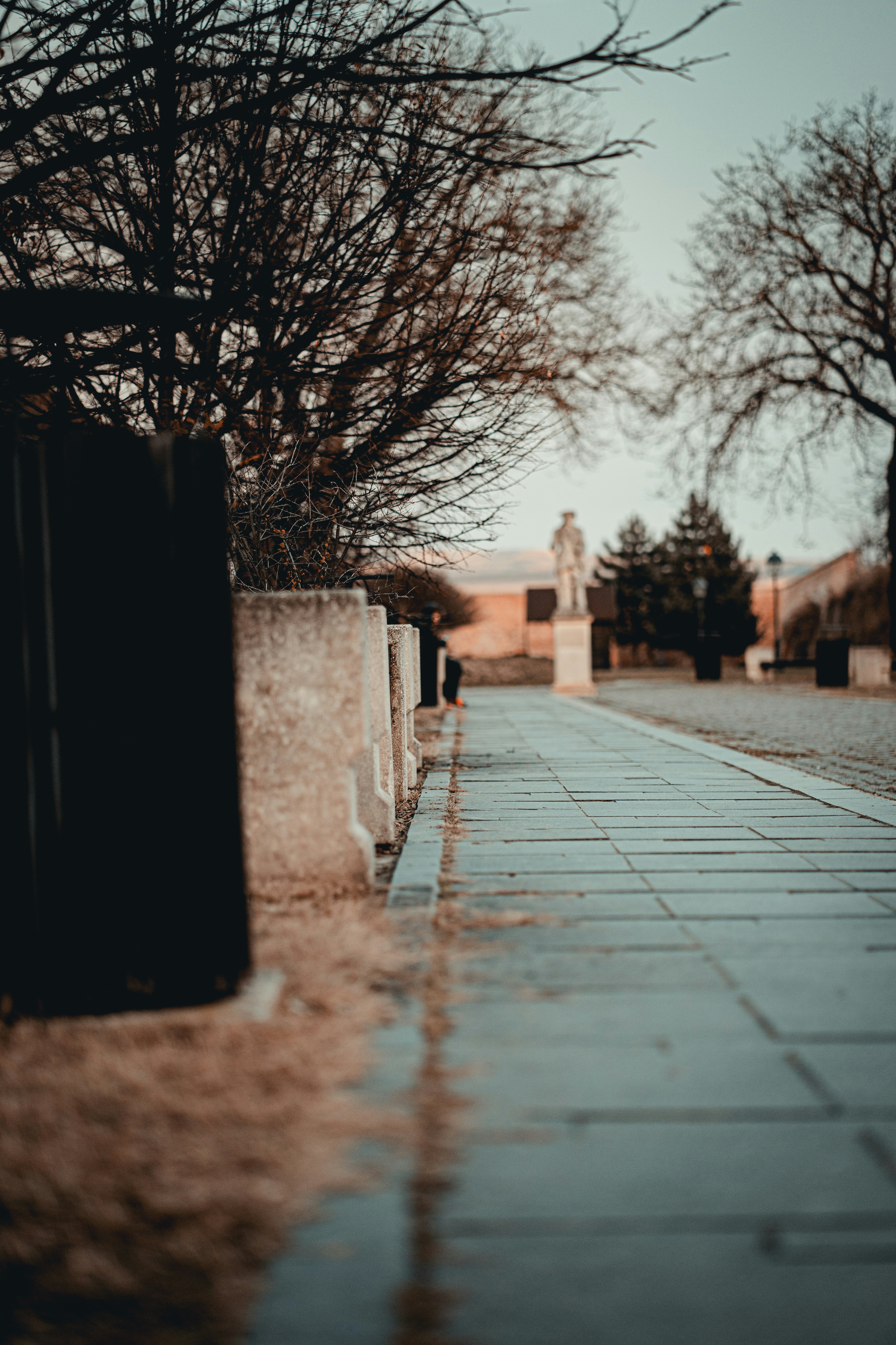 Photo by calinrazvanfotograf