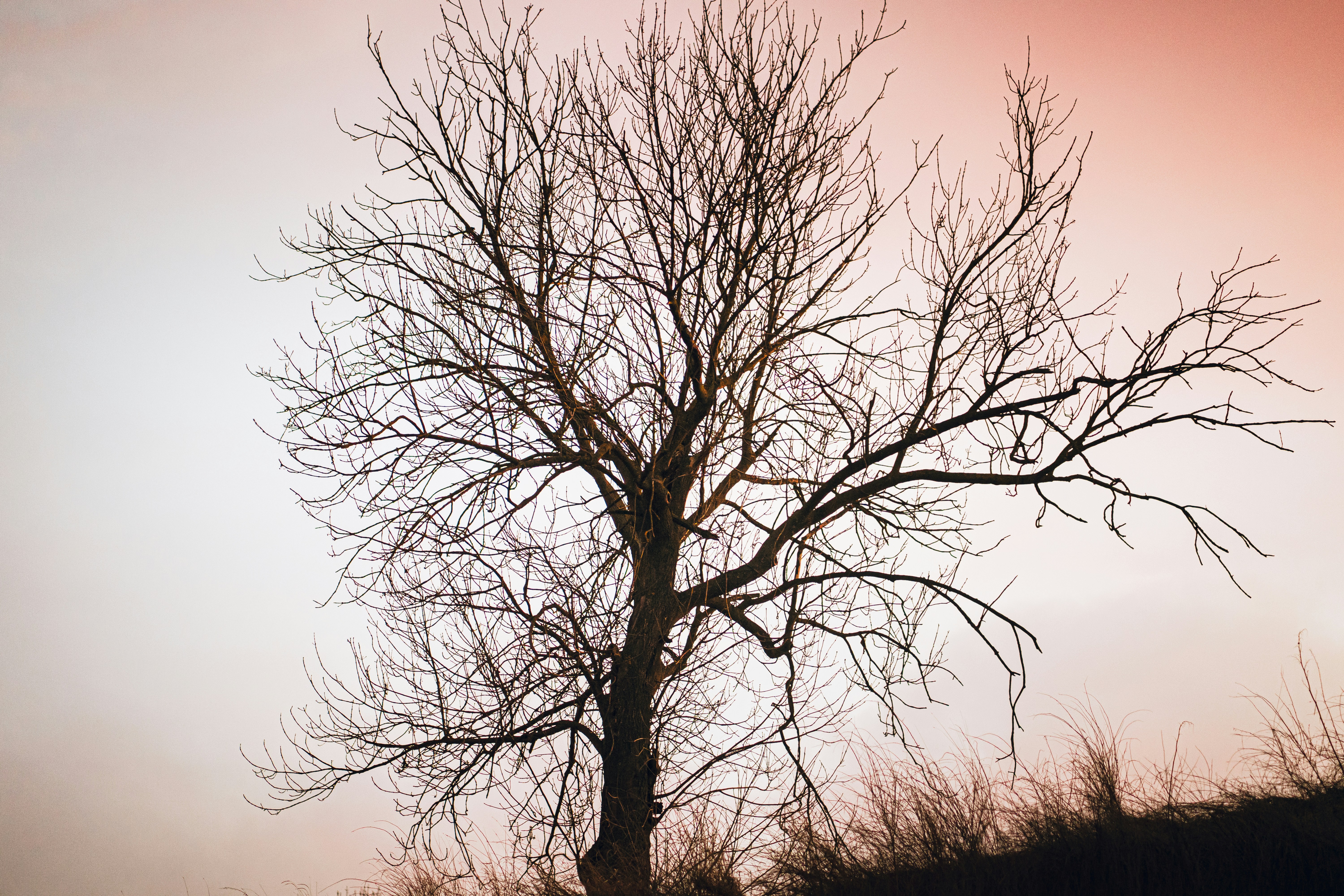 Photo by calinrazvanfotograf