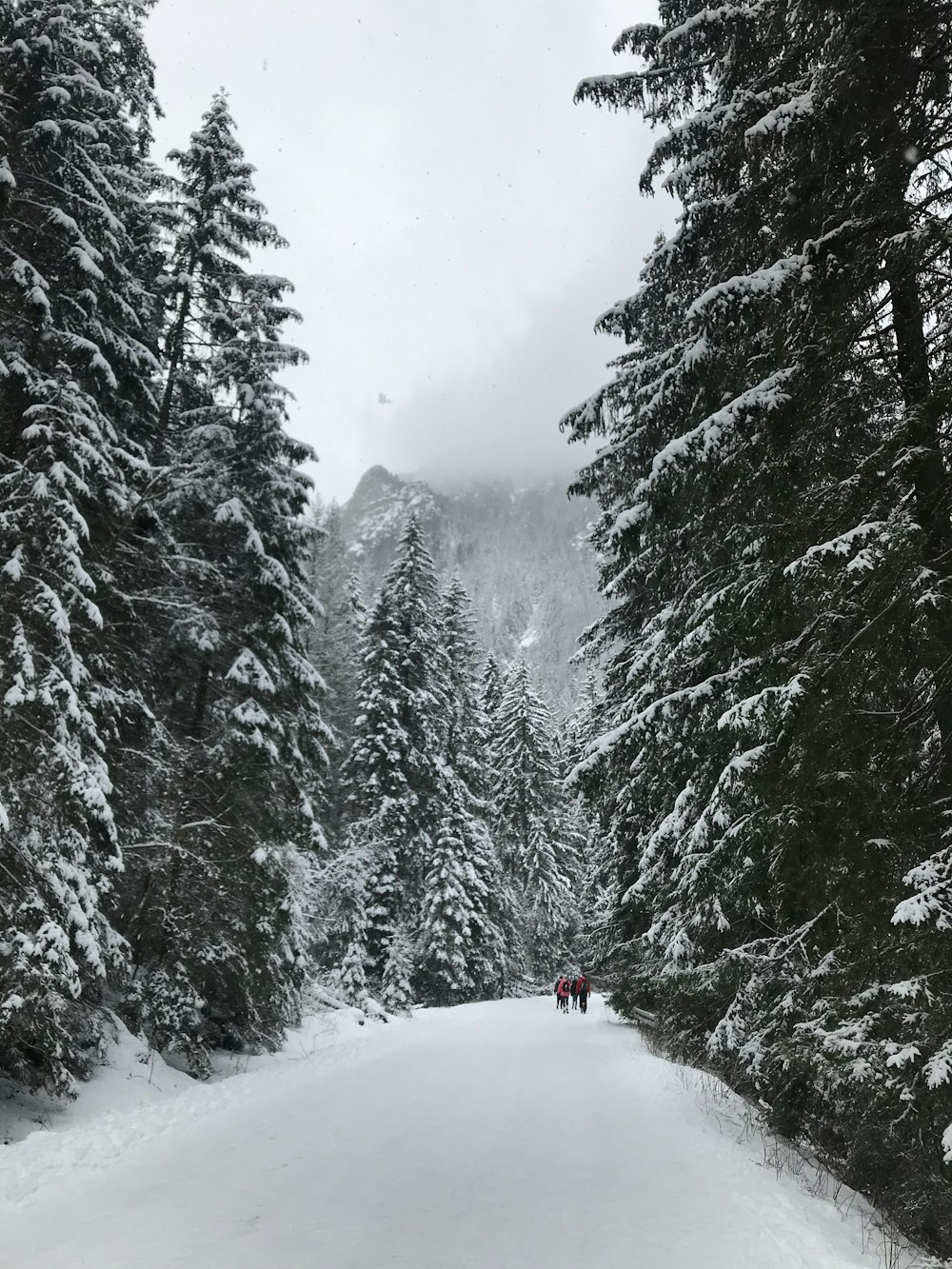 a couple of people walking down a snow covered road