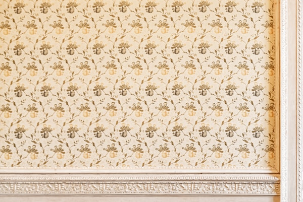 Elegant Wall Stencil