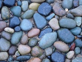 a bunch of rocks that are laying on the ground