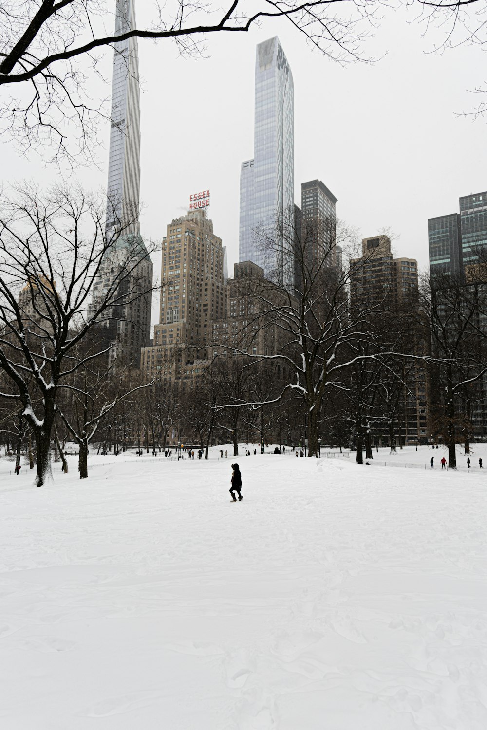 a person walking through a snow covered park