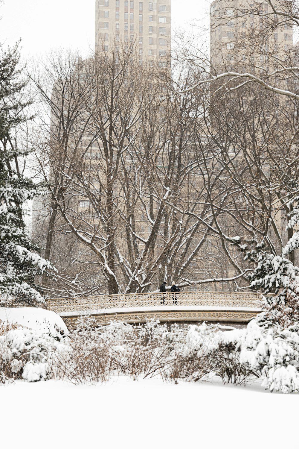 a bridge in a park covered in snow