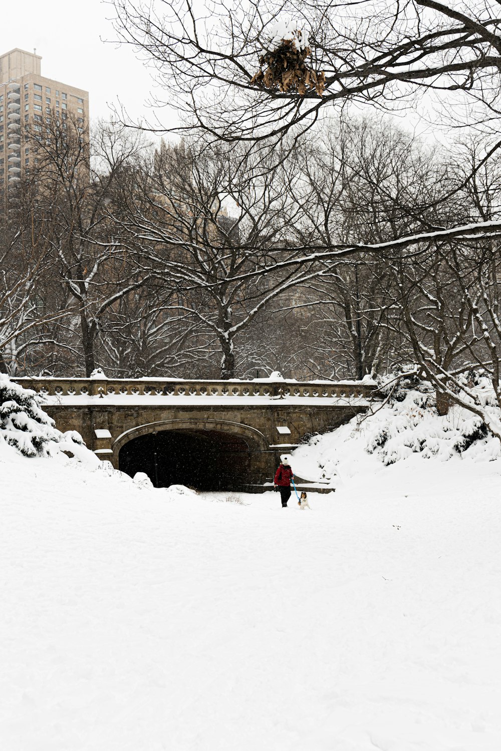 a person standing in the snow near a bridge