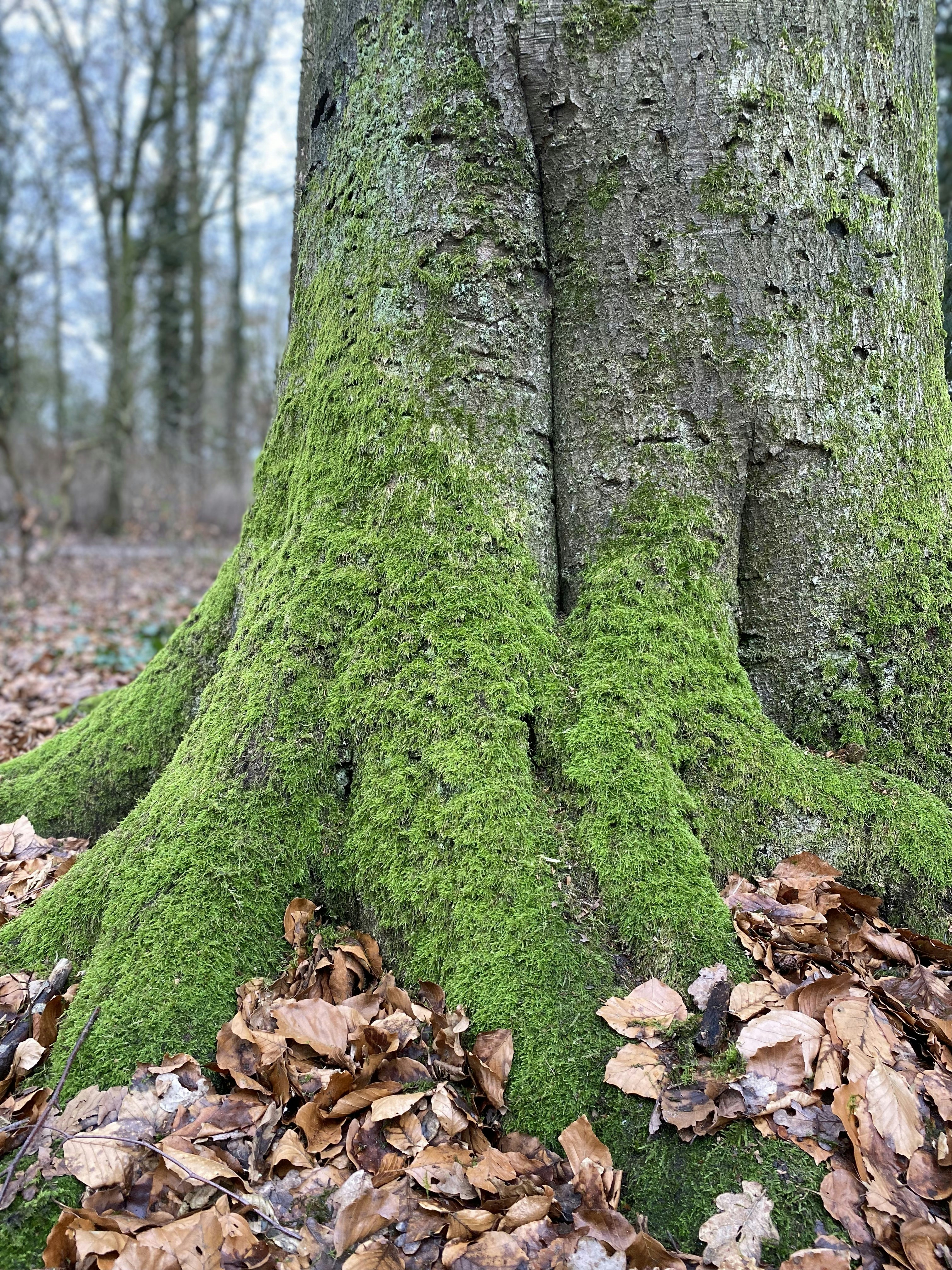 Photo by marloukrodijk