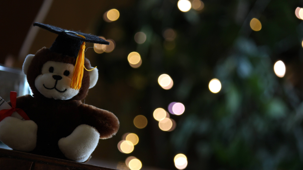 a teddy bear wearing a graduation cap and gown