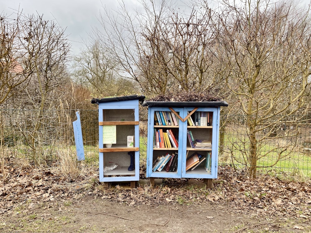 a bookcase with a lot of books in it