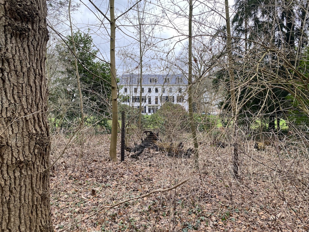 a large white house in the middle of a wooded area