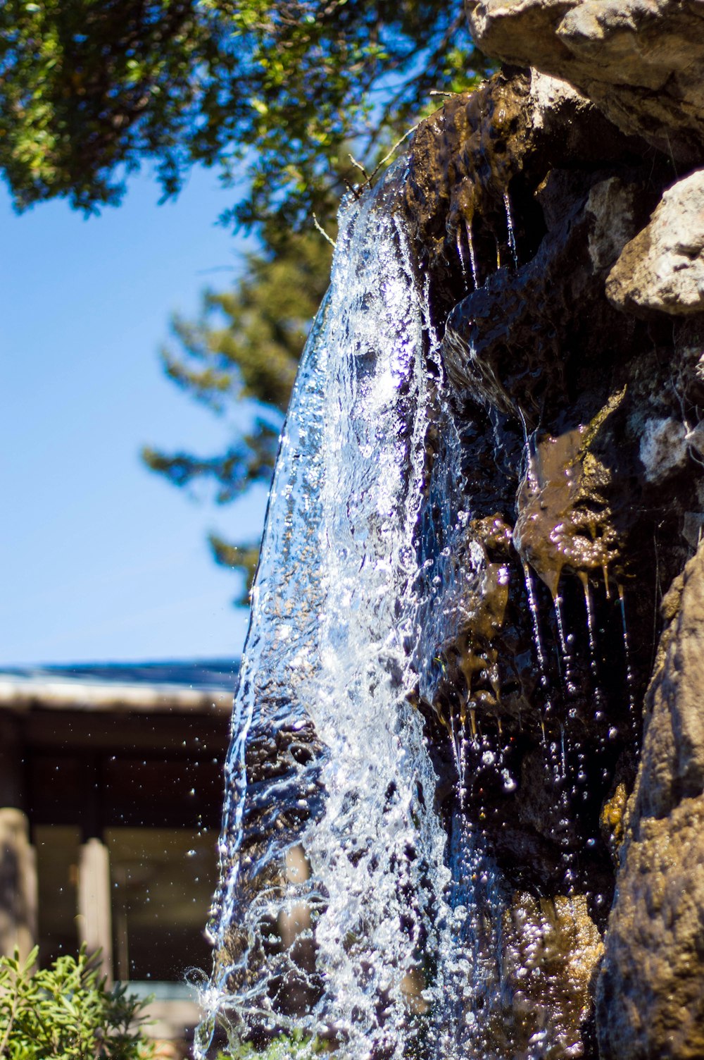 a close up of a water fountain with a tree in the background