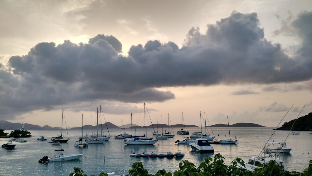 a group of boats floating on top of a body of water