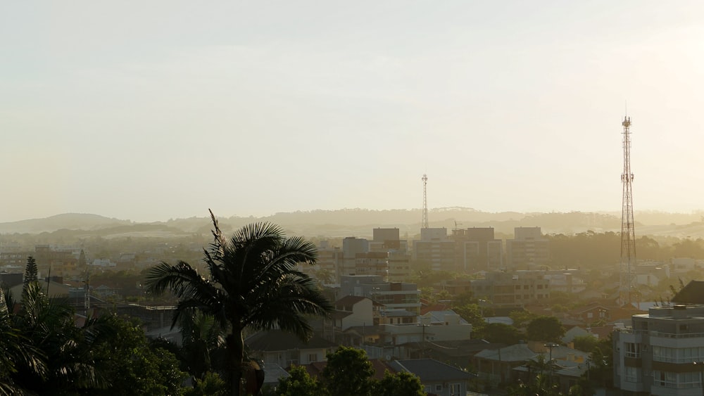 a view of a city with a lot of tall buildings