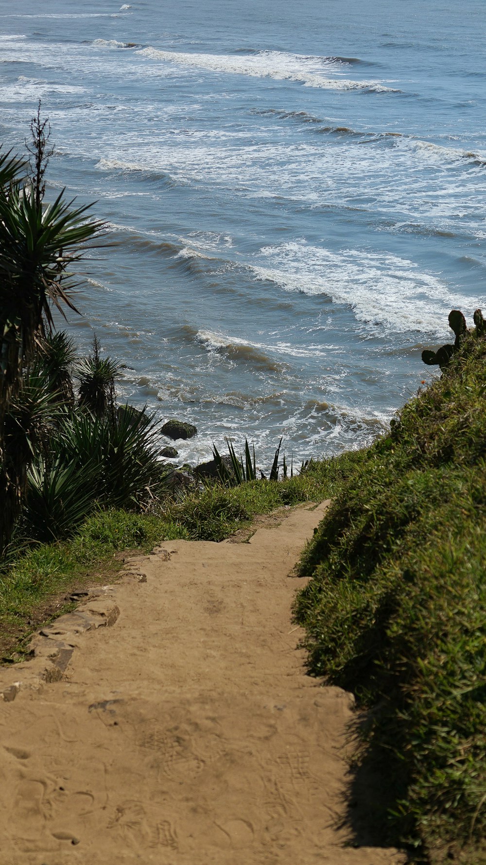 a path leading to the beach with a view of the ocean