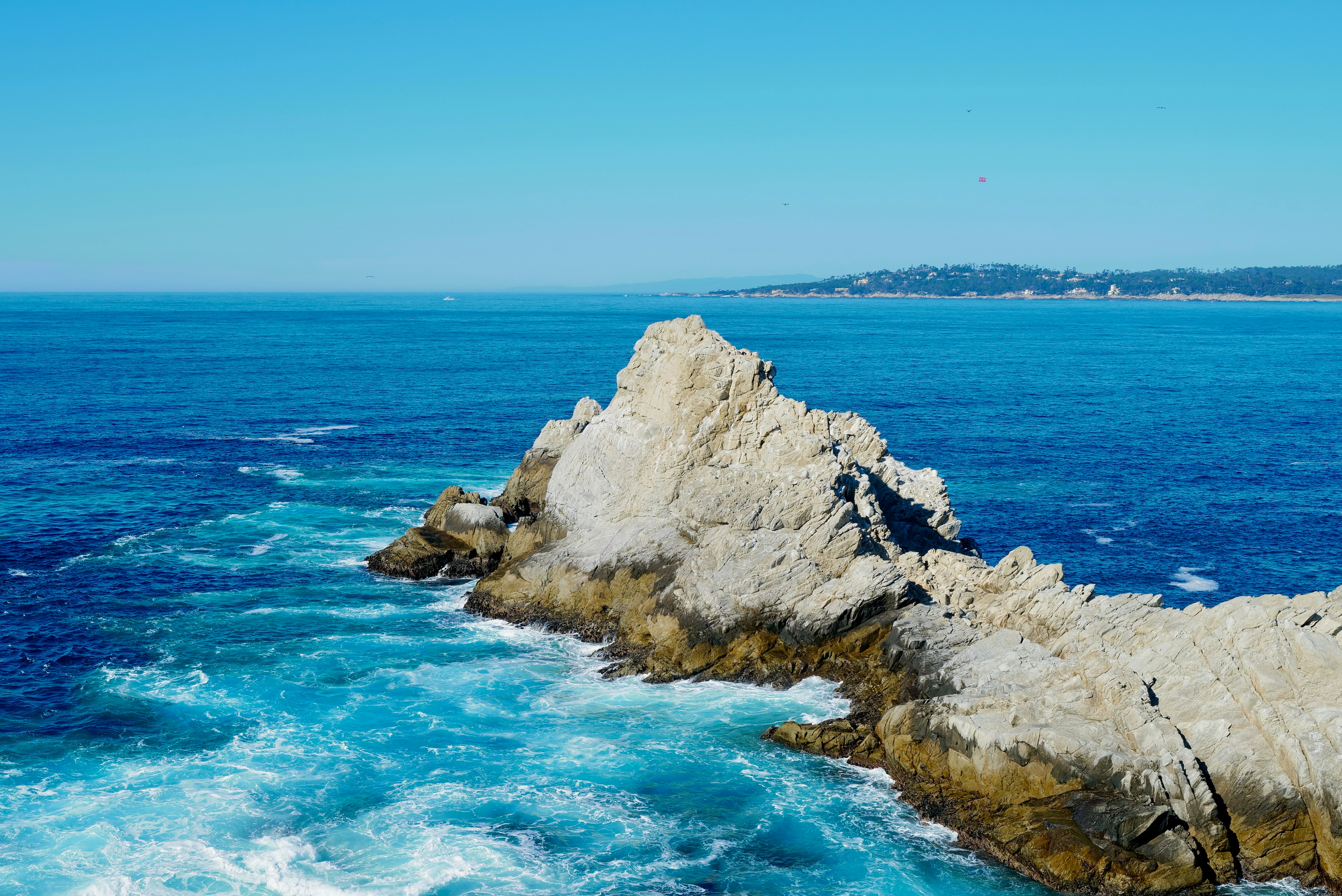 Photo by mostlycogent