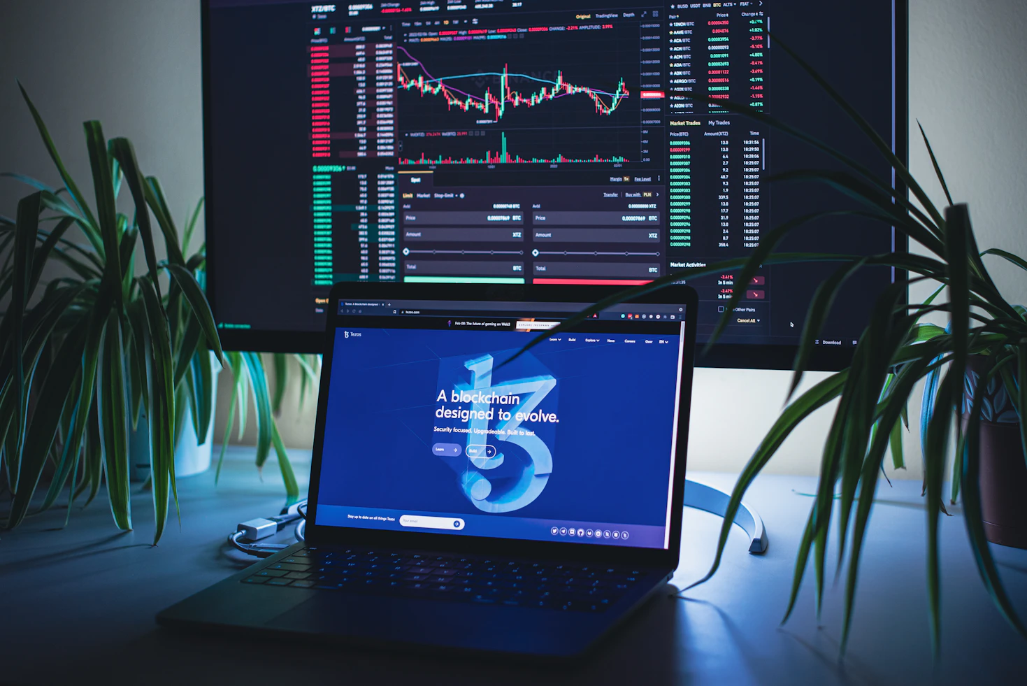 Crypto market analysis and digital trading charts