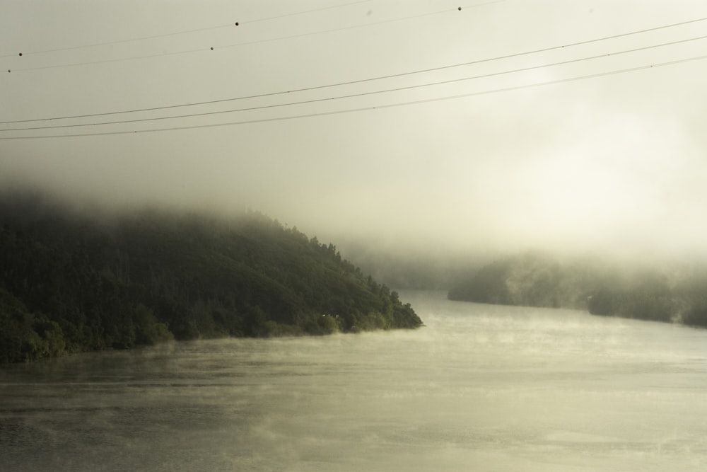 a body of water surrounded by trees on a foggy day