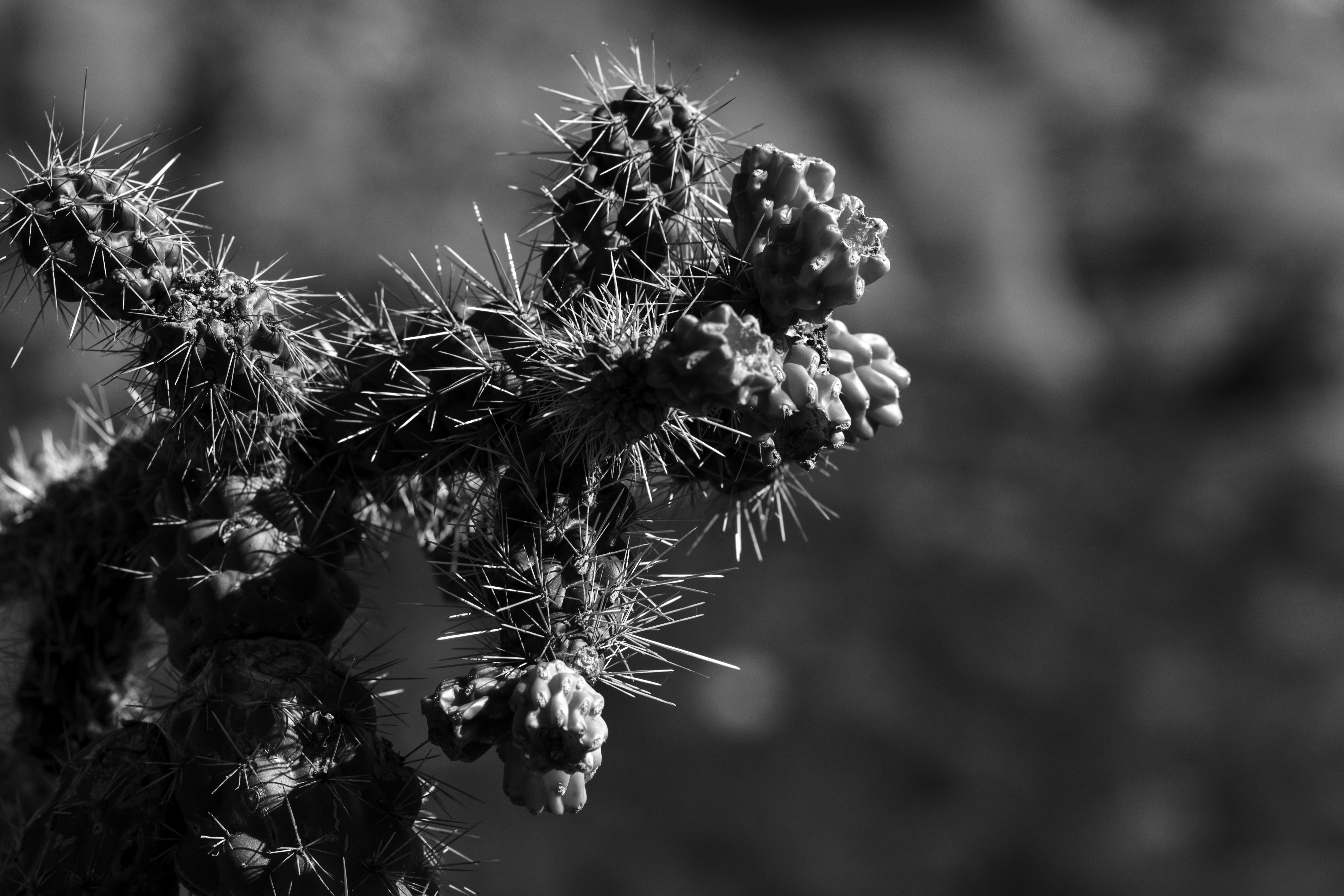 Photo by tayannphoto