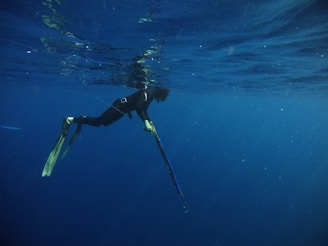 a person in a wet suit is in the water
