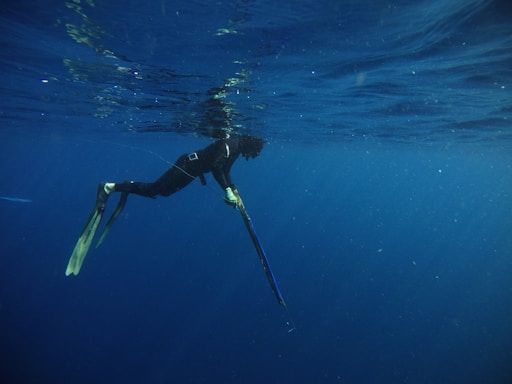 a person in a wet suit is in the water