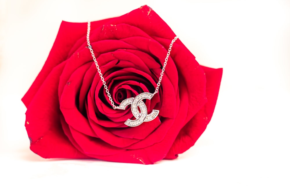 a close up of a red rose with a diamond necklace