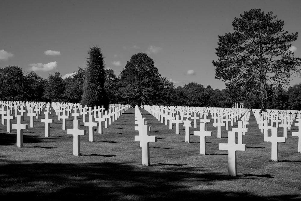 a field full of crosses in a cemetery