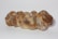 A loaf of braided bread with a golden-brown crust and a dusting of flour on its surface, placed on a plain white background.