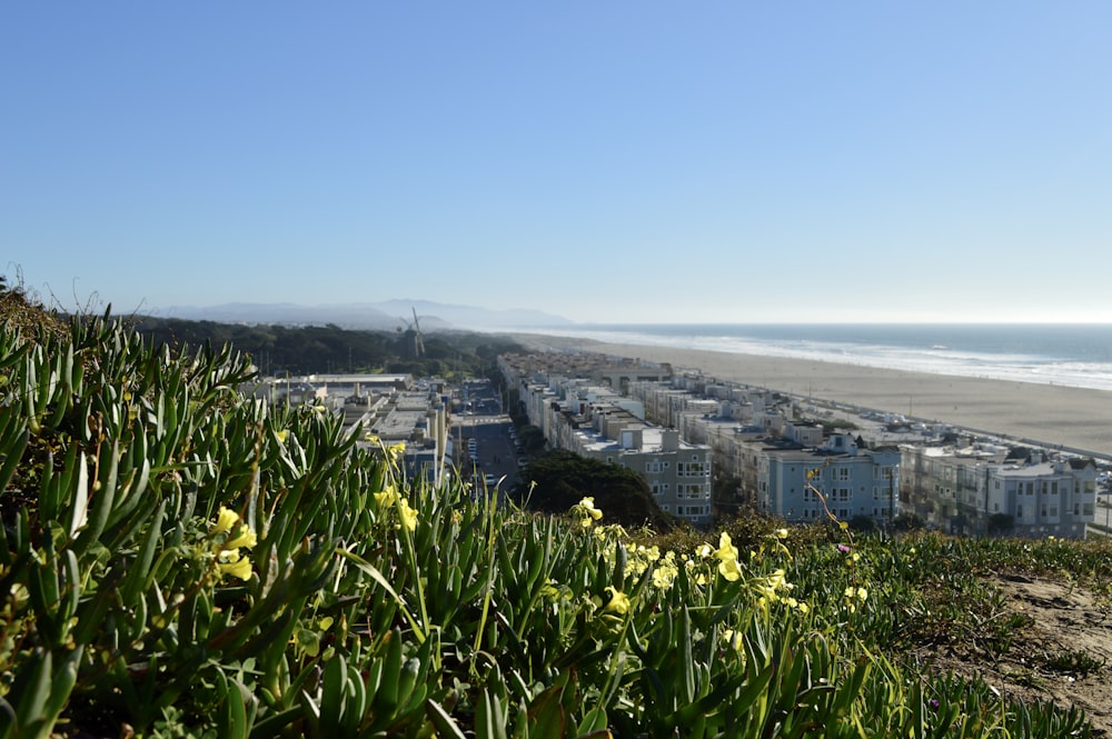 a view of a beach and a city from a hill