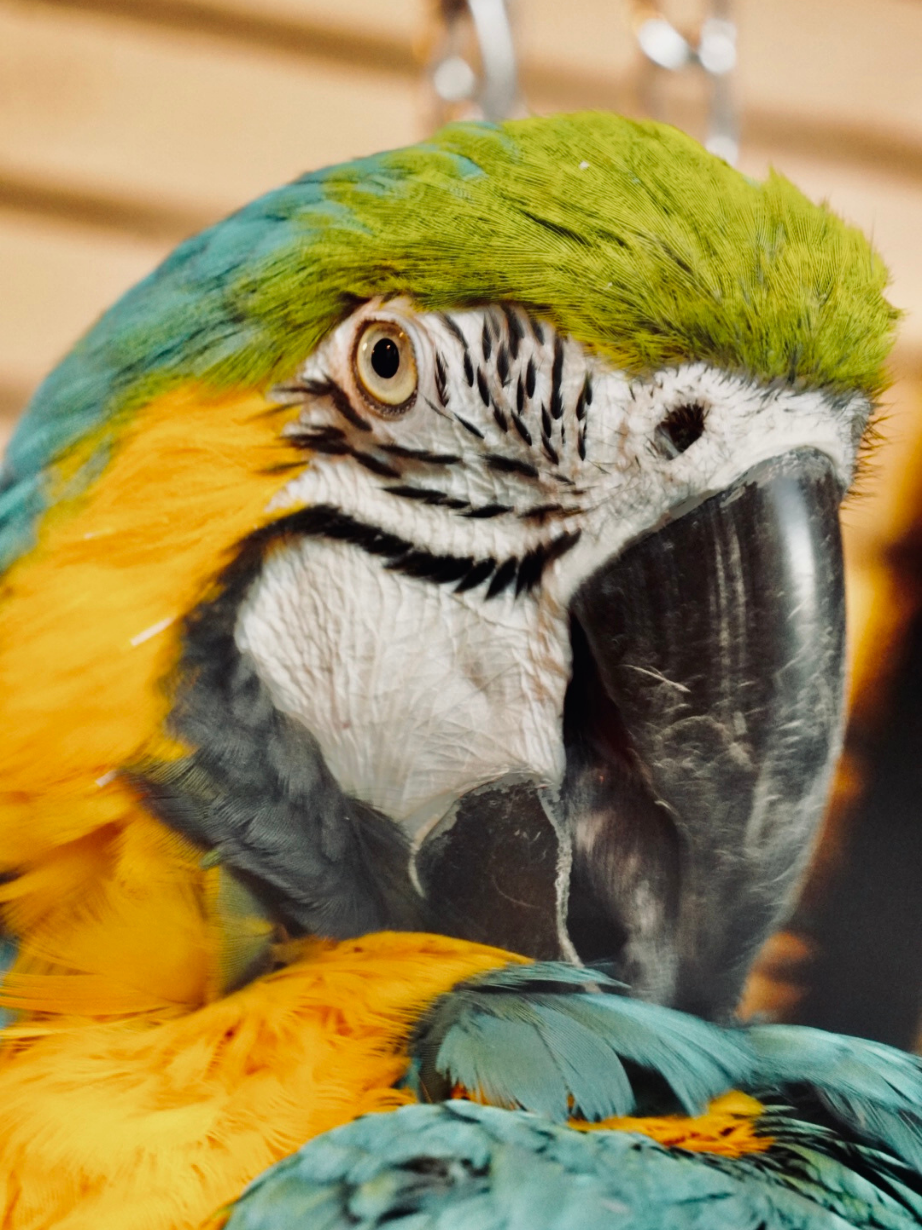 Photo by cdsaunders04