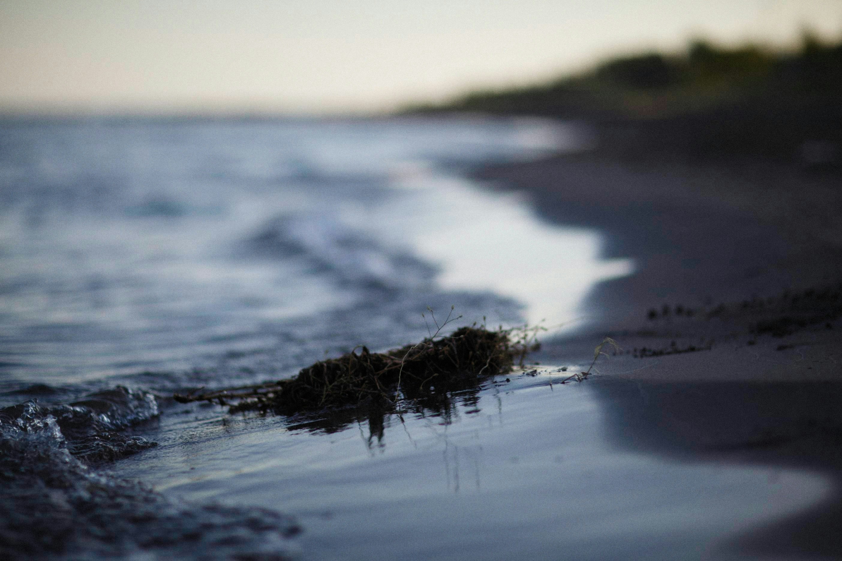 Photo by alexeydemidov