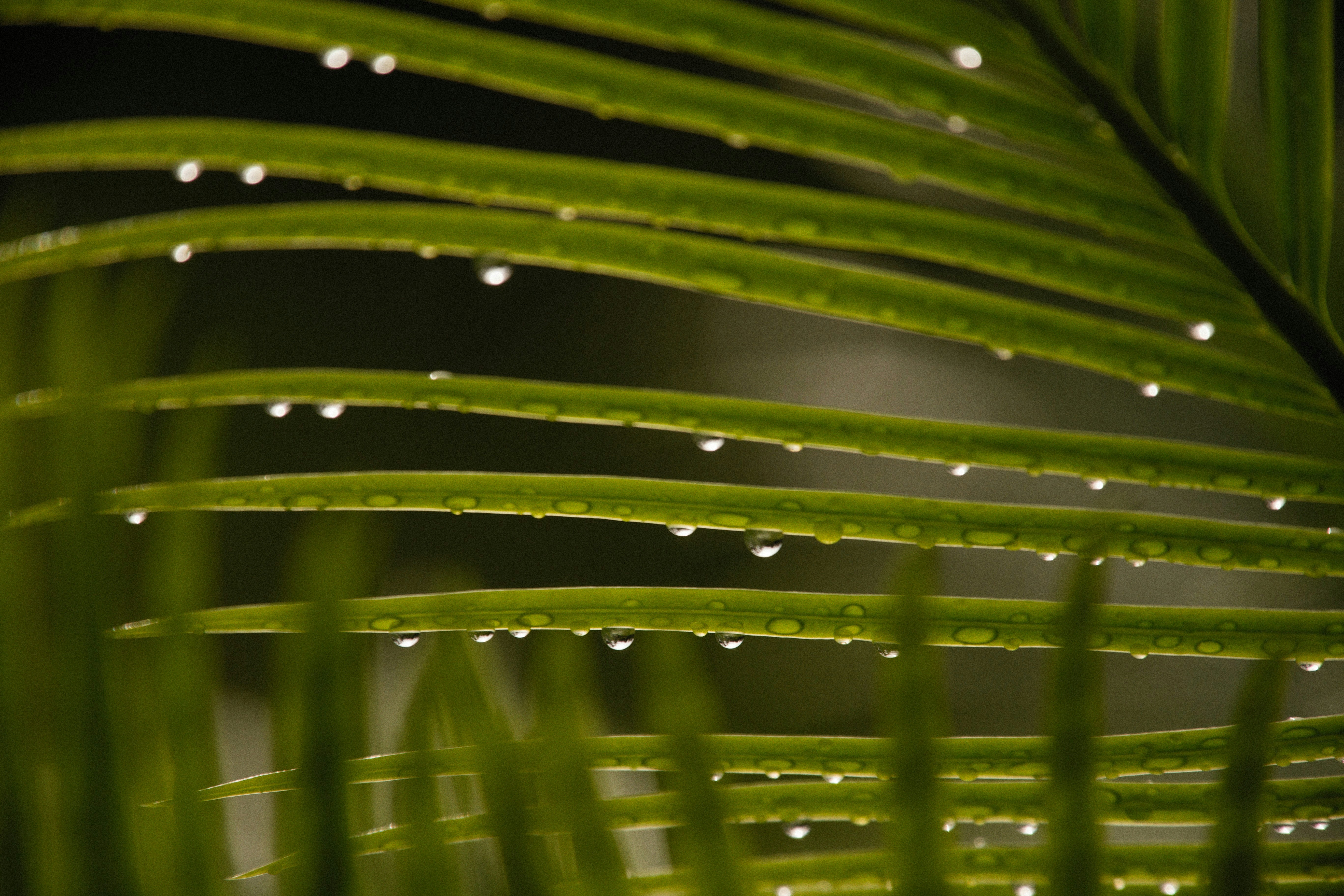 Photo by alexeydemidov