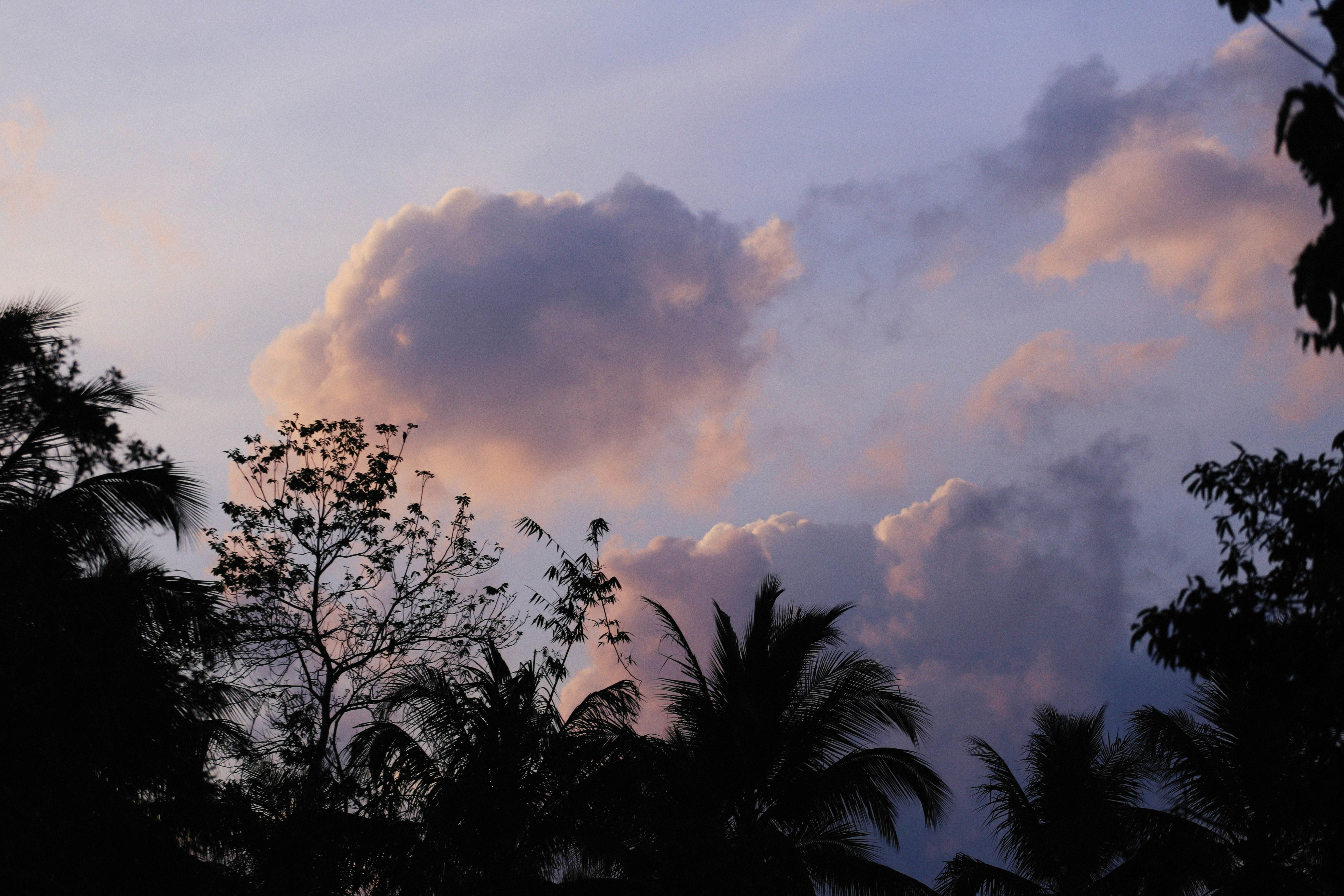 Photo by alexeydemidov