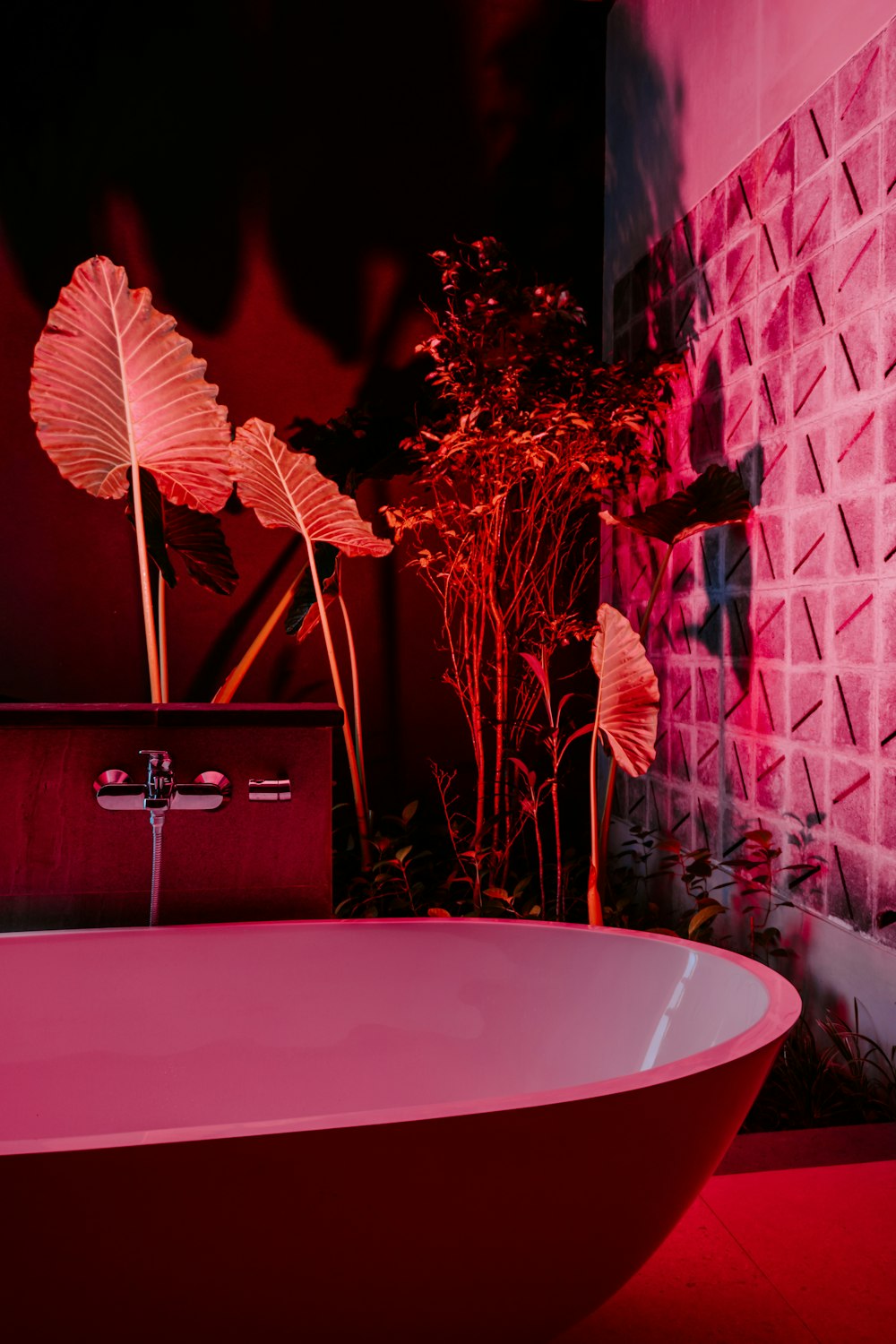 ein Badezimmer mit einer rosa Badewanne und einer Pflanze