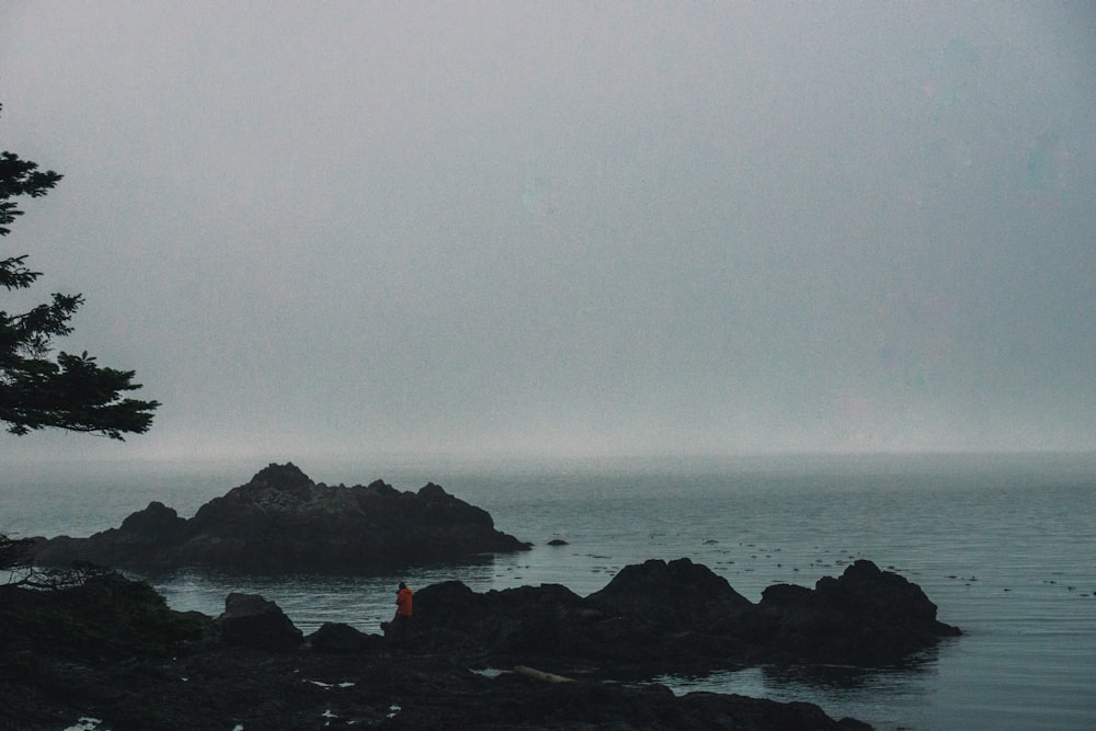 a person standing on a rocky shore with an umbrella